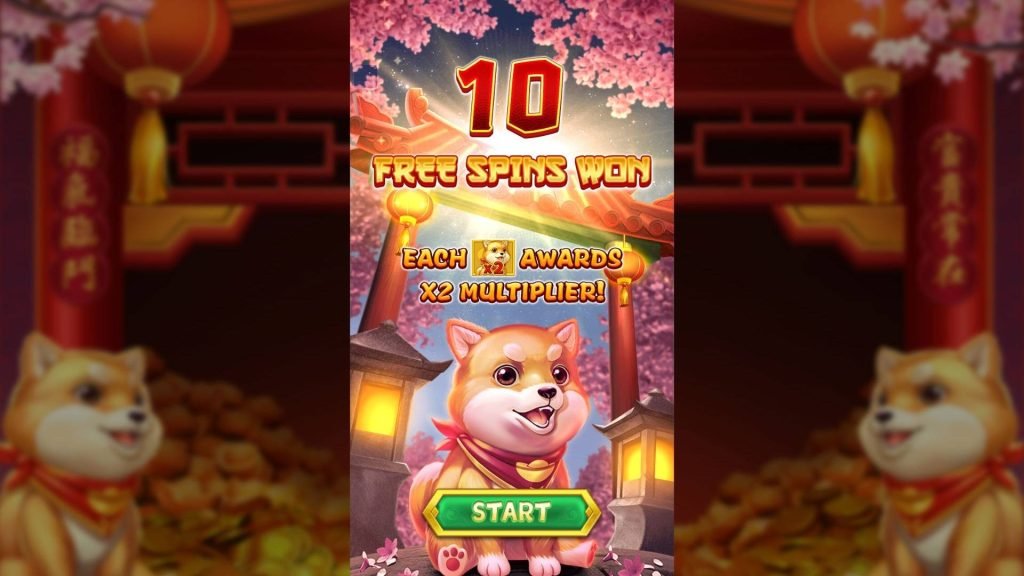 RSG皇家電子《狗來富》老虎機：2025年最期待爆款遊戲即將登場！