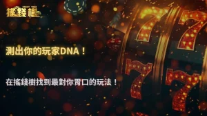 搖錢樹娛樂城2025風險承受力測試：你是哪一種娛樂玩家？