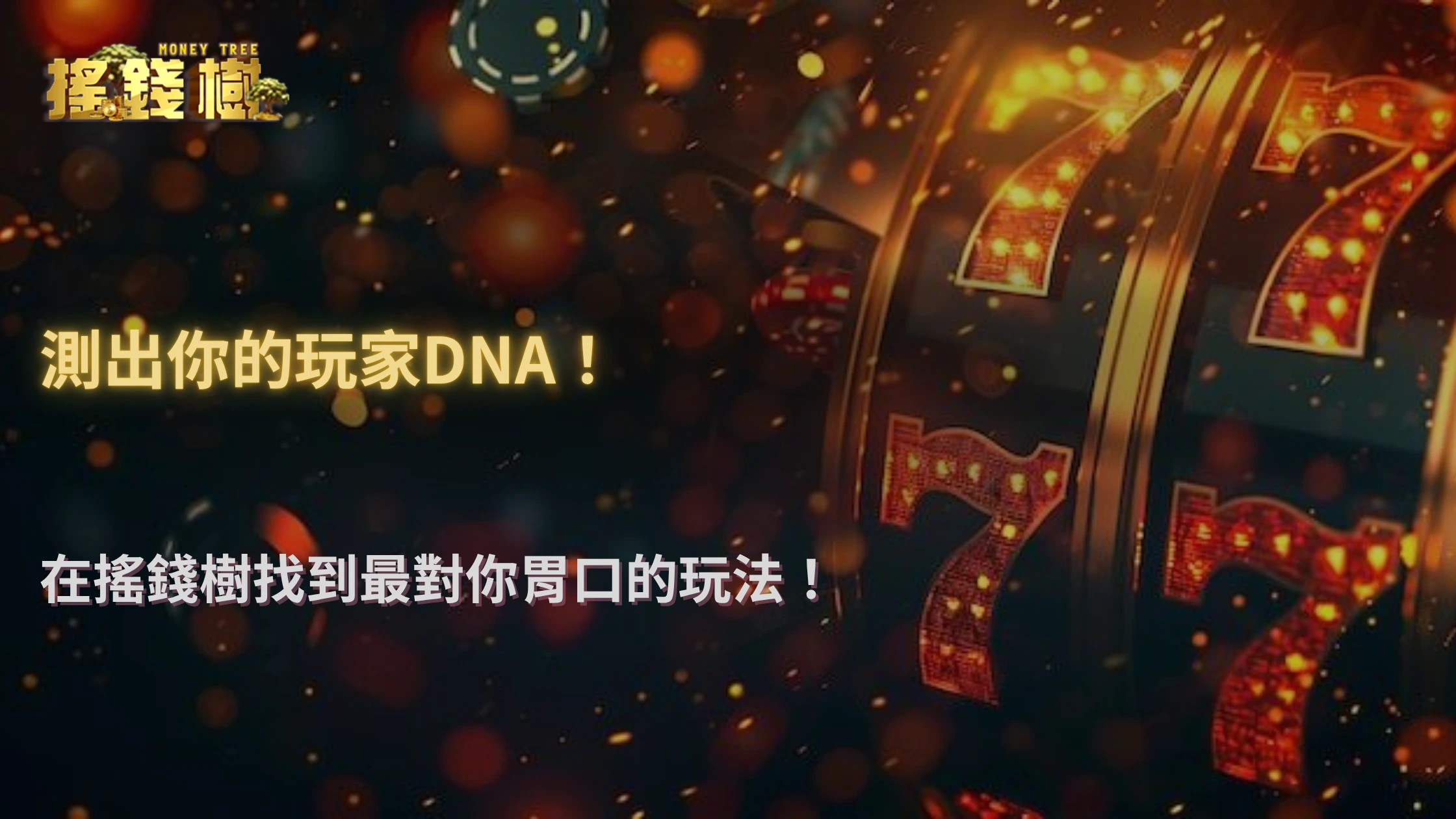 搖錢樹娛樂城2025風險承受力測試：你是哪一種娛樂玩家？